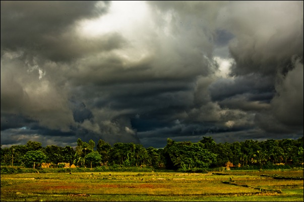 My Village