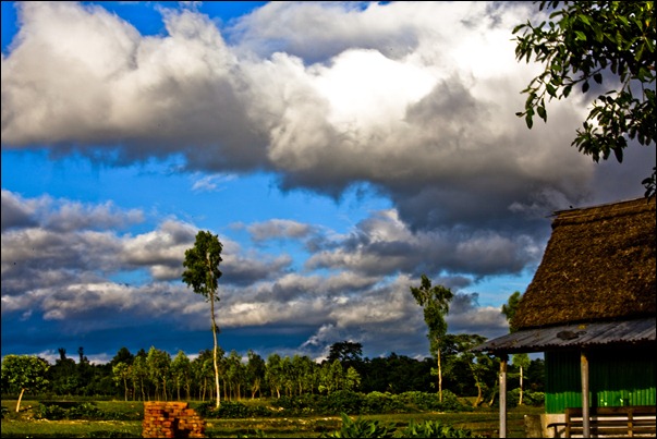 Our Bricks Field Office